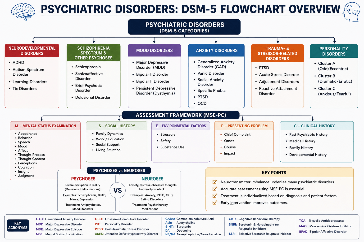DSM-5 psychiatric disorders flowchart infographic showing classification of neurodevelopmental, mood, anxiety, trauma-related and personality disorders with MSE-PC assessment framework